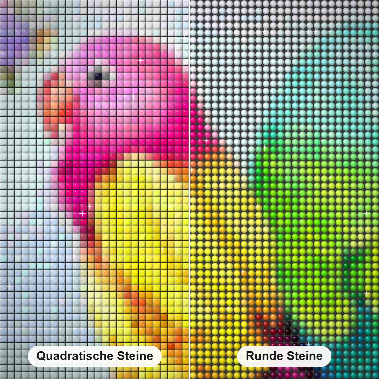 Papageien Paar Diamond Painting Nahaufnahme mit quadratischen und runden Steinen