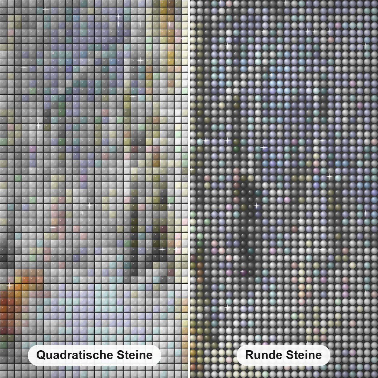 Rotfuchs und Rotkehlchen -  Kunst des Eric Wilson Diamond Painting Nahaufnahme mit quadratischen und runden Steinen