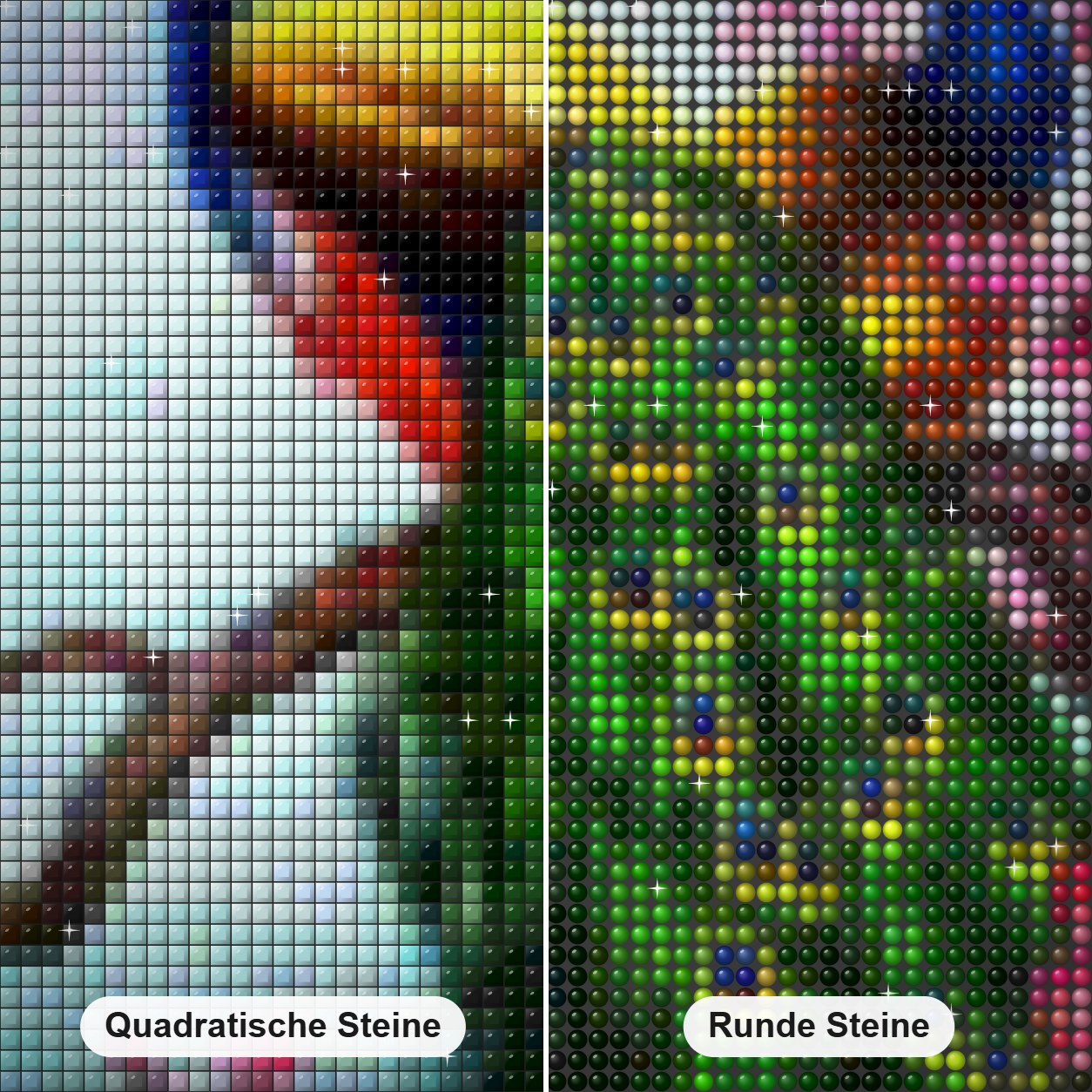 Rosa Blumen und Pfauenpaar Diamond Painting Nahaufnahme mit quadratischen und runden Steinen
