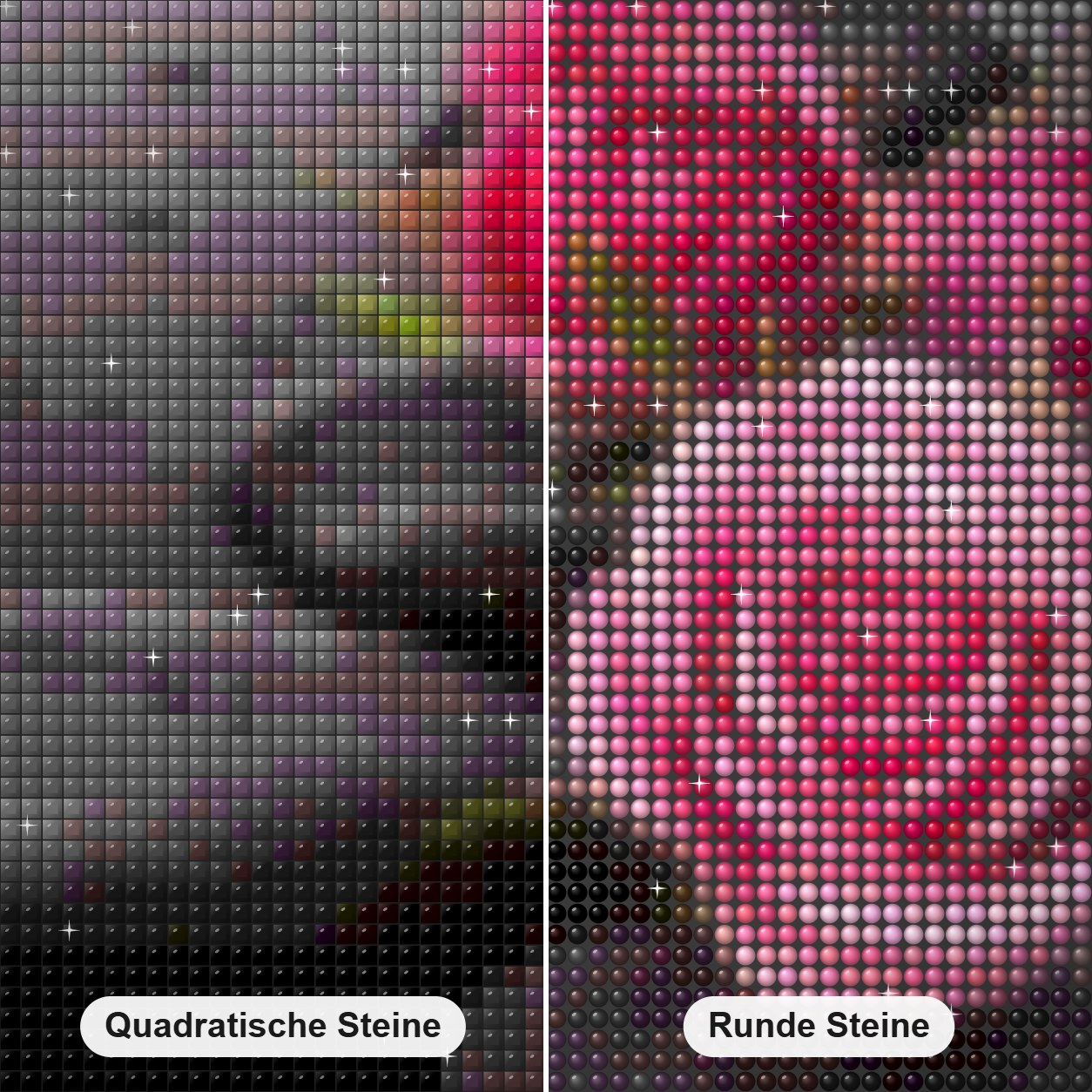 Rosa Rosen auf schwarzen Felse Diamond Painting Nahaufnahme mit quadratischen und runden Steinen