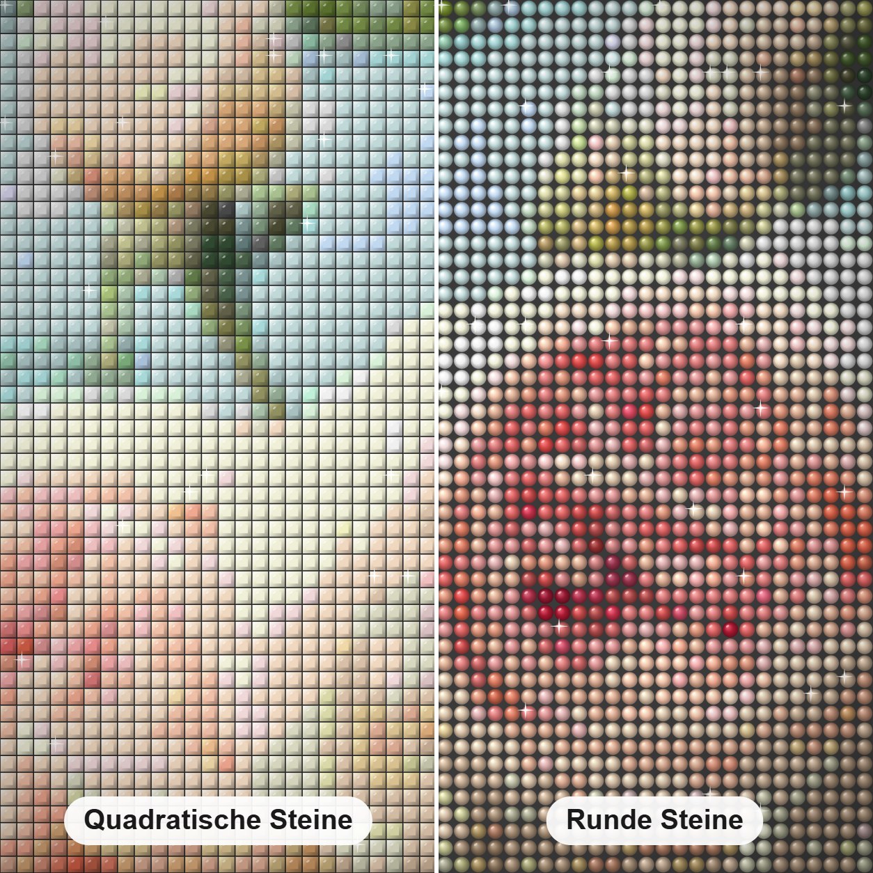Rosa Rosengarten Diamond Painting Nahaufnahme mit quadratischen und runden Steinen