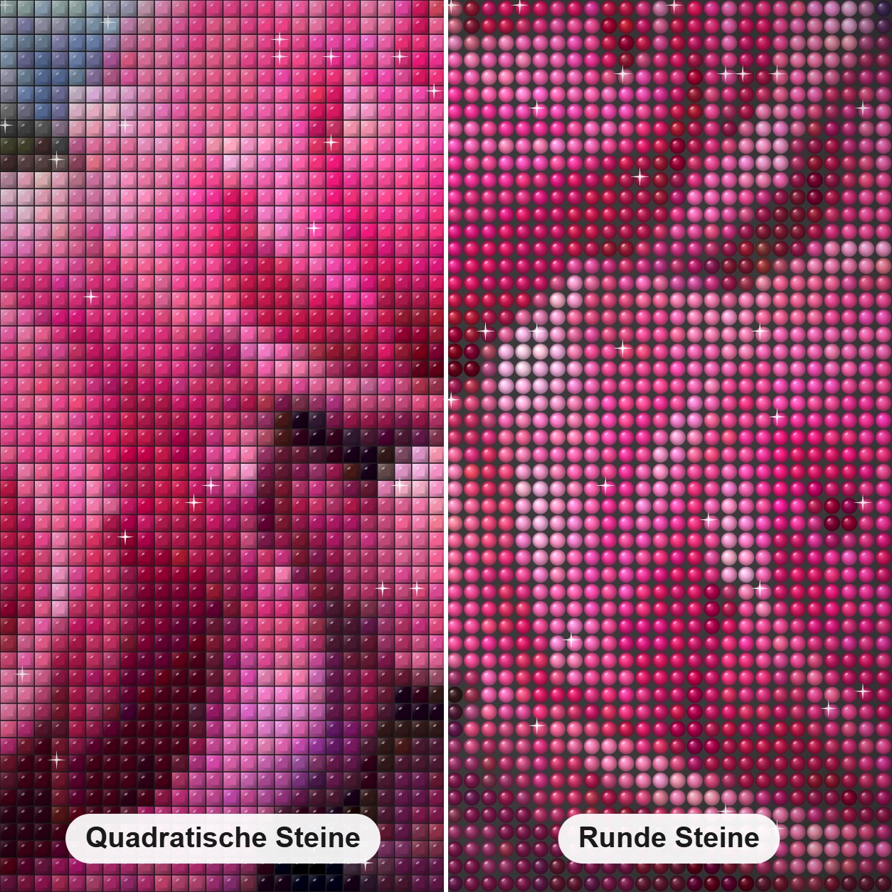 Rosa Rosenschönheit Diamond Painting Nahaufnahme mit quadratischen und runden Steinen