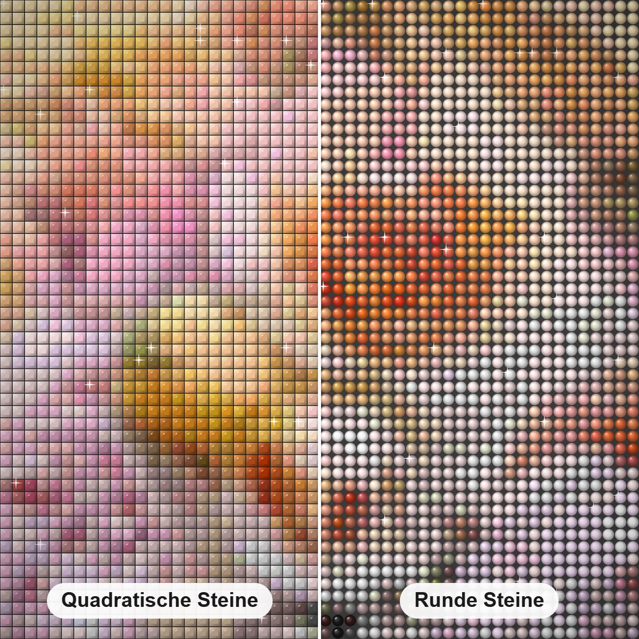 Rosen & Pfingstrosen Diamond Painting Nahaufnahme mit quadratischen und runden Steinen