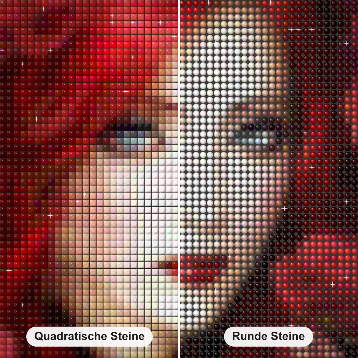 Rote Blumen & wunderschöne Dame Diamond Painting Nahaufnahme mit quadratischen und runden Steinen