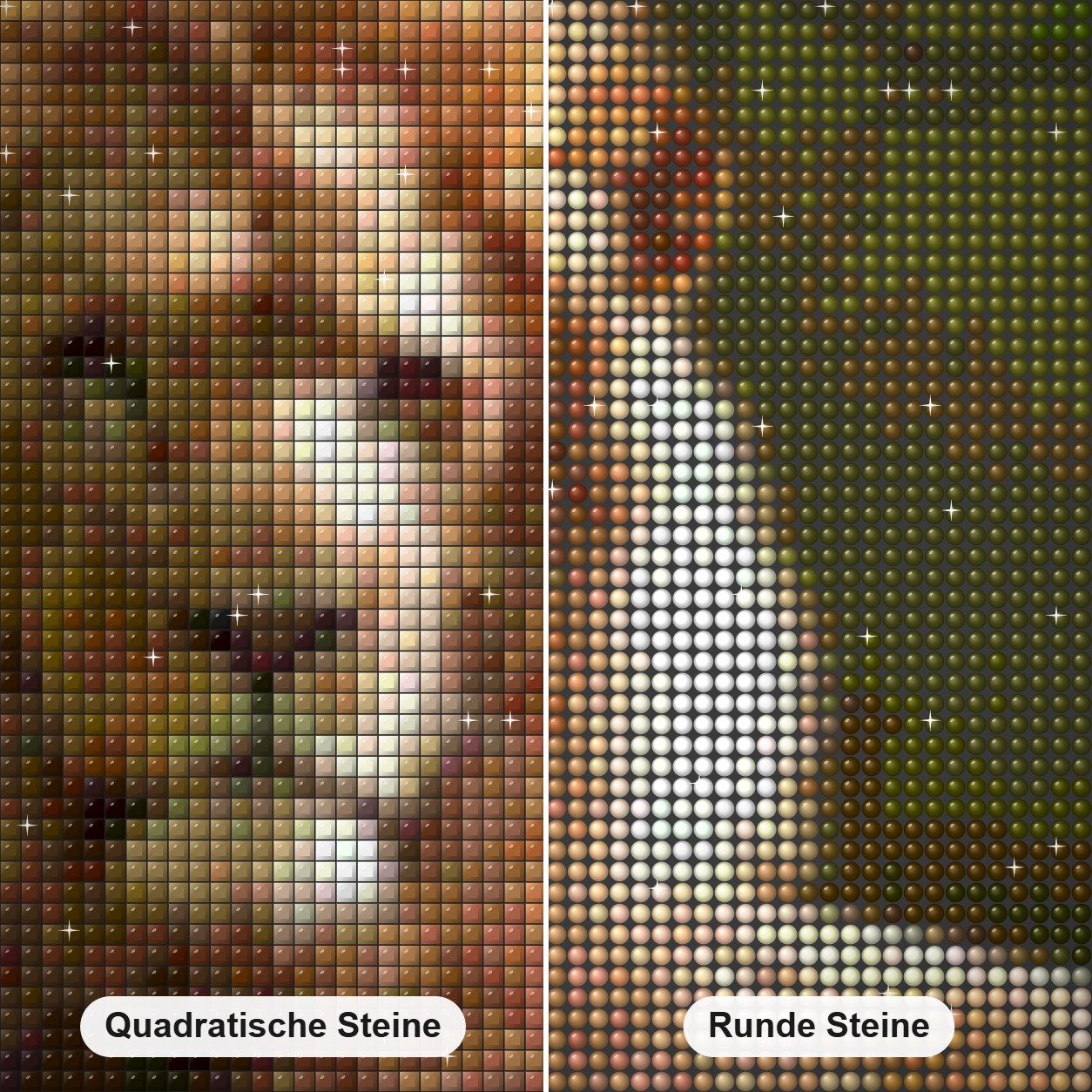 Ruhiger Löwe Diamond Painting Nahaufnahme mit quadratischen und runden Steinen