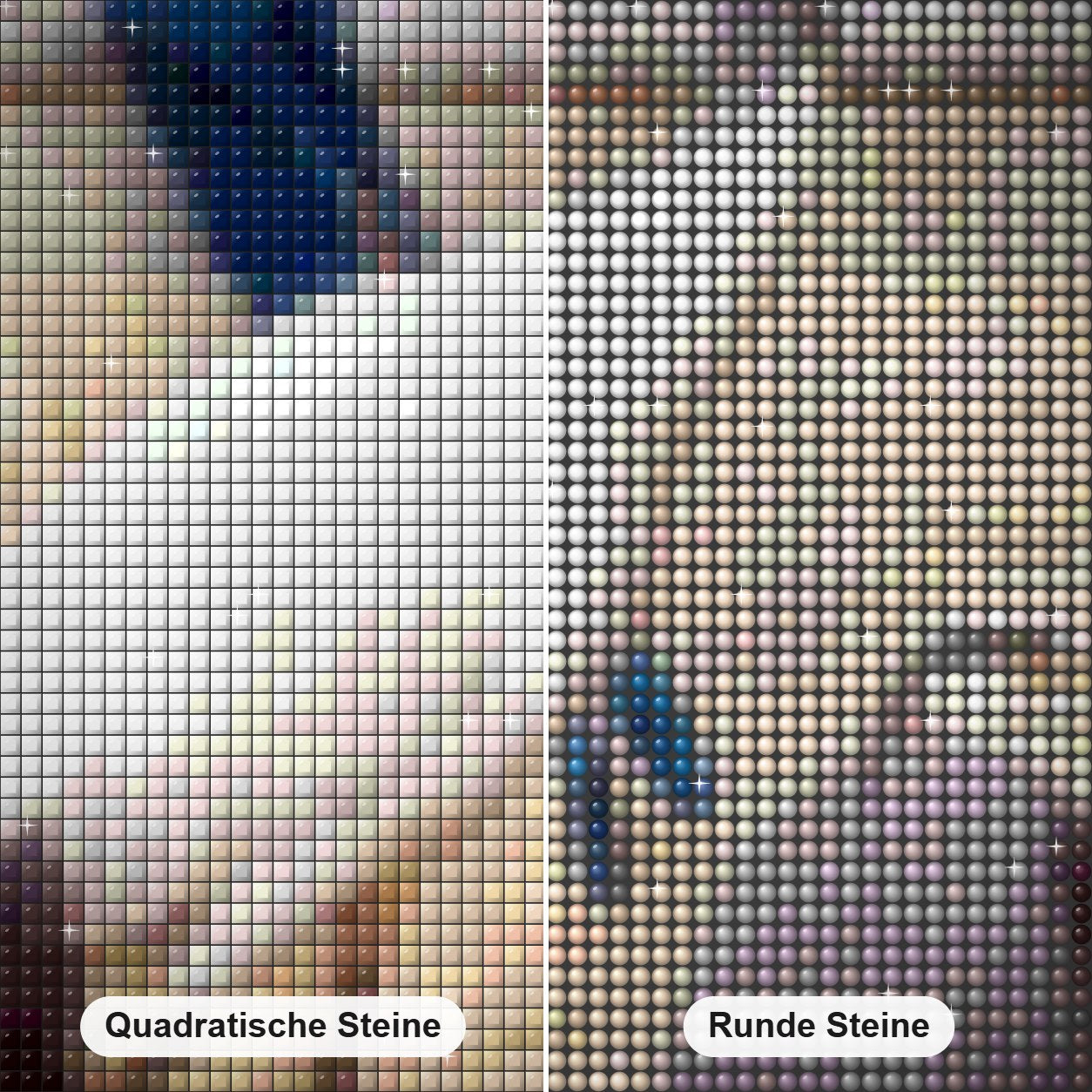Sandhügelkranich & Papagei Diamond Painting Nahaufnahme mit quadratischen und runden Steinen