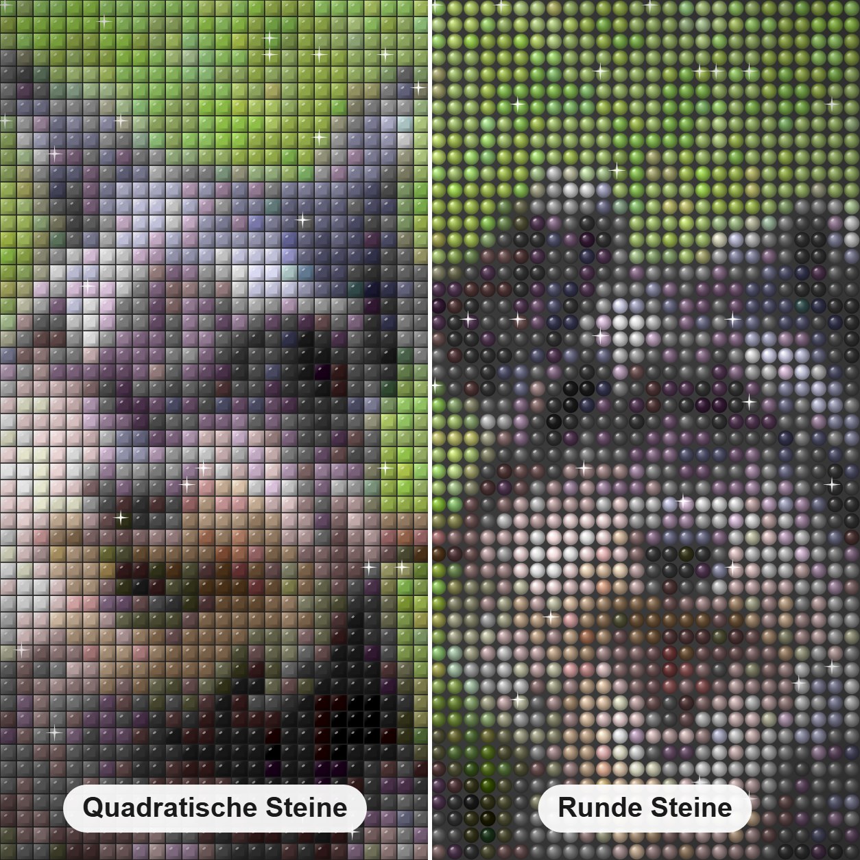 Schnauzer Lady & die Tramp Dogs. Diamond Painting Nahaufnahme mit quadratischen und runden Steinen