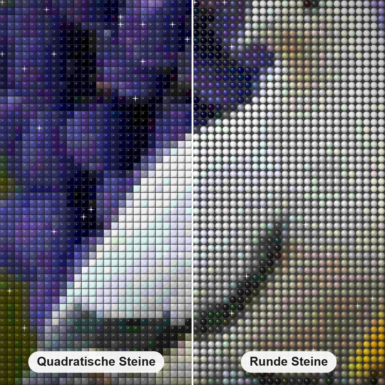 Schöne Taube & Weintraube Diamond Painting Nahaufnahme mit quadratischen und runden Steinen