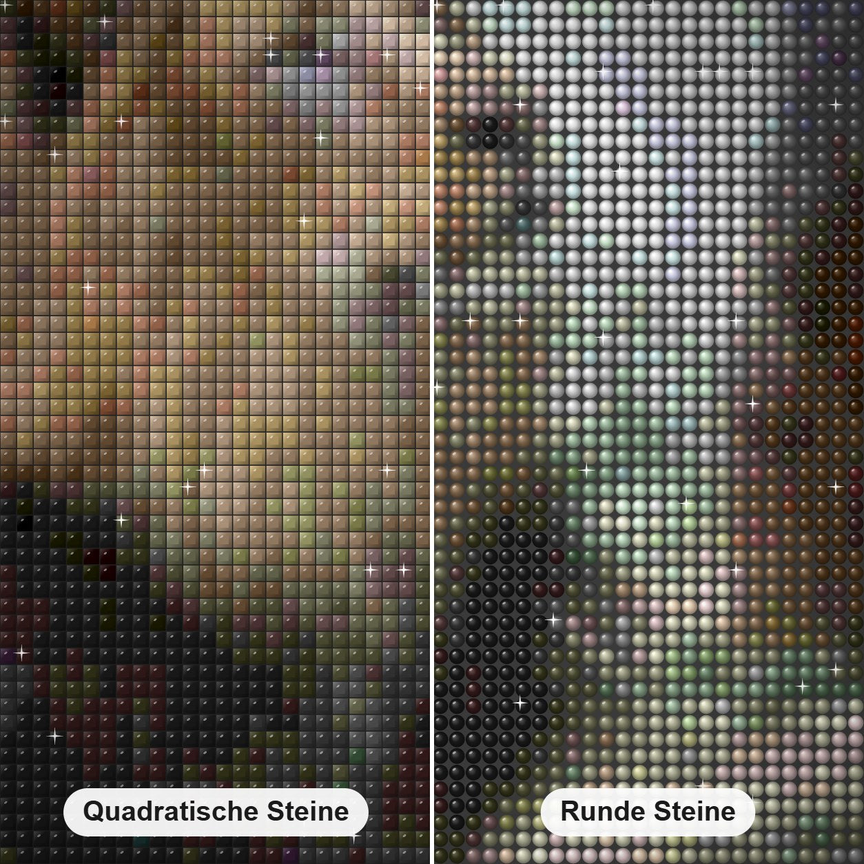 Schöner Löwe mit langen Haaren Diamond Painting Nahaufnahme mit quadratischen und runden Steinen