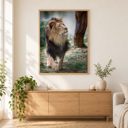 Schöner Löwe mit langen Haaren als gerahmtes Diamond Painting im Wohnzimmer