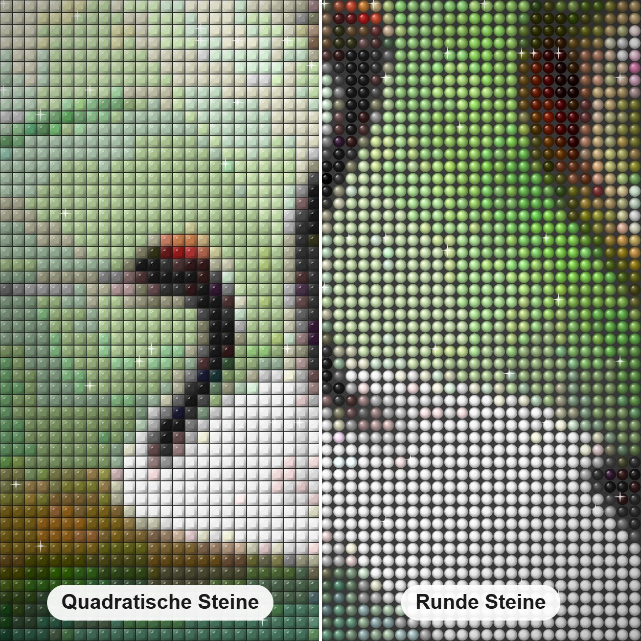 Schreikranpaar Diamond Painting Nahaufnahme mit quadratischen und runden Steinen