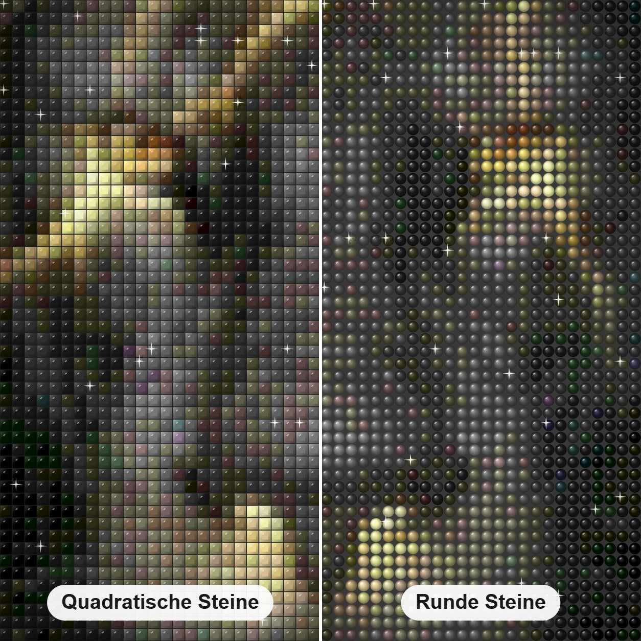 Schwarzer Löwe Kunst Diamond Painting Nahaufnahme mit quadratischen und runden Steinen