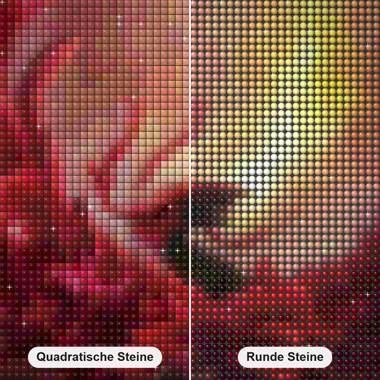 Schwarzer Rosendrache Diamond Painting Nahaufnahme mit quadratischen und runden Steinen