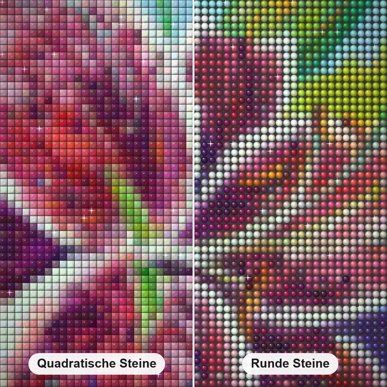 Sterngucker-Lilie - Kunst des Sandra Trubin Diamond Painting Nahaufnahme mit quadratischen und runden Steinen