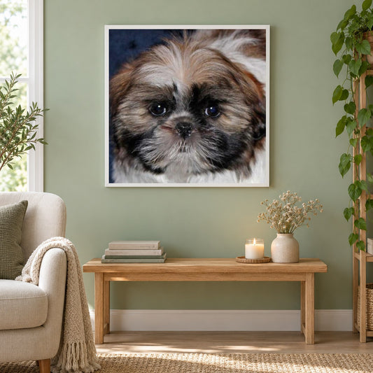 Süß shih tzu hund als gerahmtes Diamond Painting im Wohnzimmer