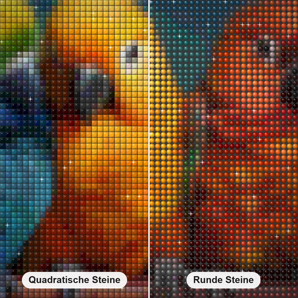 Die Pracht bunter Papageien Diamond Painting Nahaufnahme mit quadratischen und runden Steinen