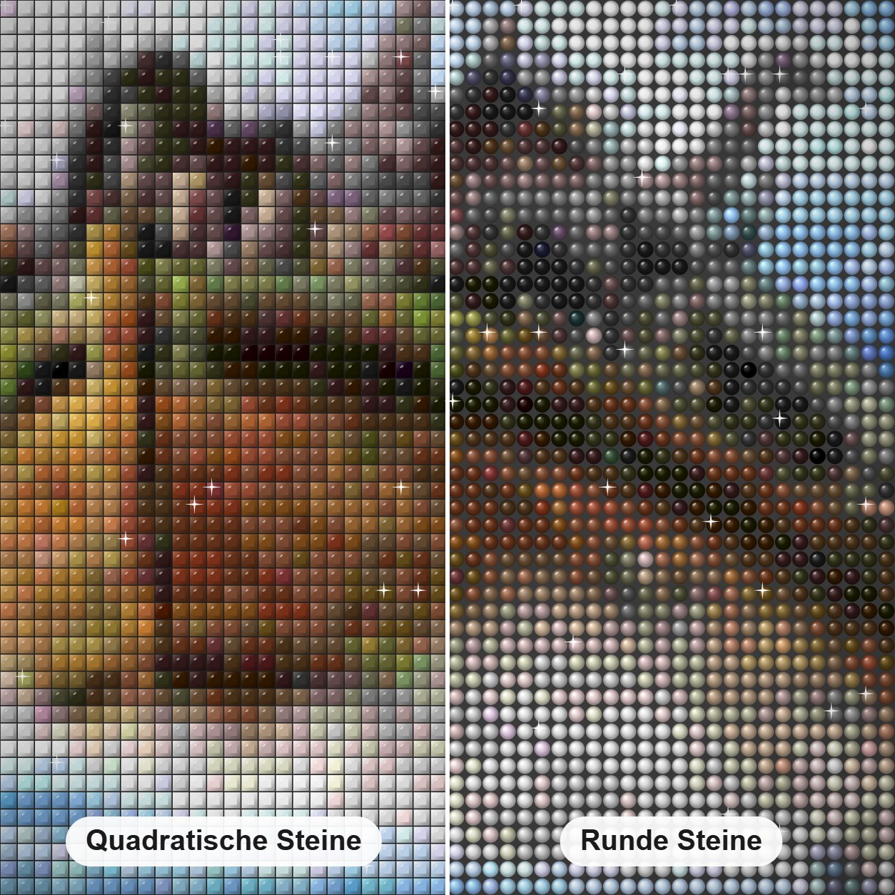 Tierwelt Diamond Painting Nahaufnahme mit quadratischen und runden Steinen