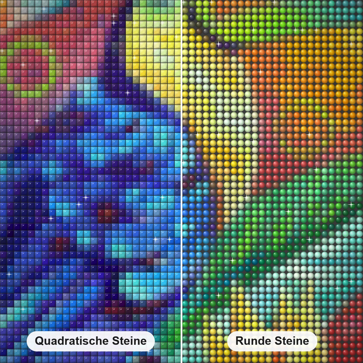 Tukan unter den Paradiesvögeln - Kunst des Sandra Trubin Diamond Painting Nahaufnahme mit quadratischen und runden Steinen