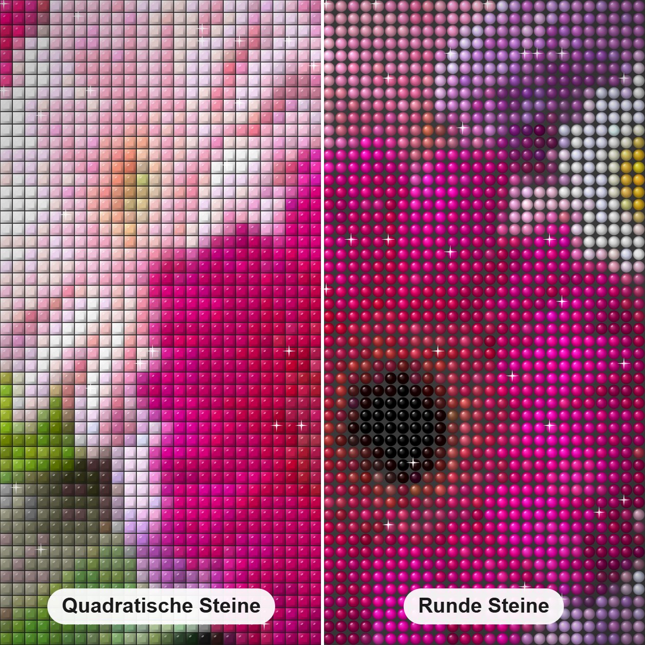 Transvaal Gänseblümchen - Gemälde von Diamanten Diamond Painting Nahaufnahme mit quadratischen und runden Steinen