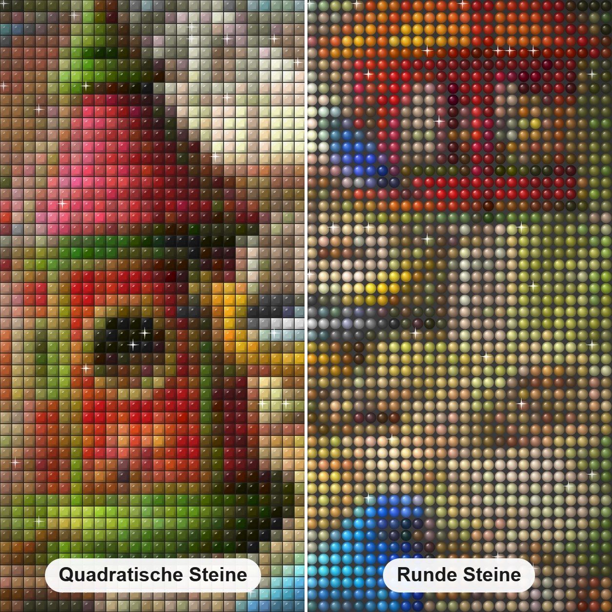 Vogelkolonie Diamond Painting Nahaufnahme mit quadratischen und runden Steinen