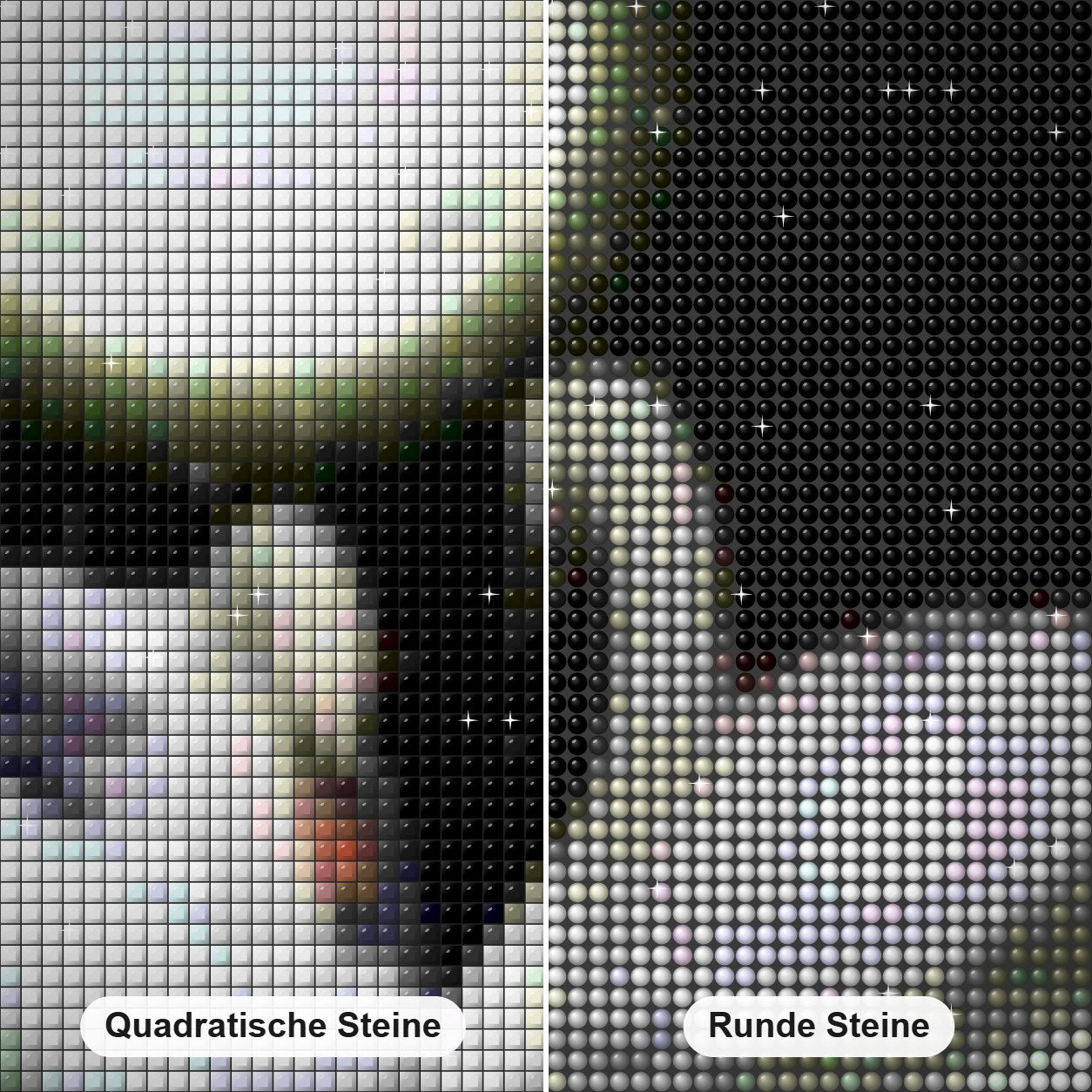 Vollmond & Schwan Paar Diamond Painting Nahaufnahme mit quadratischen und runden Steinen