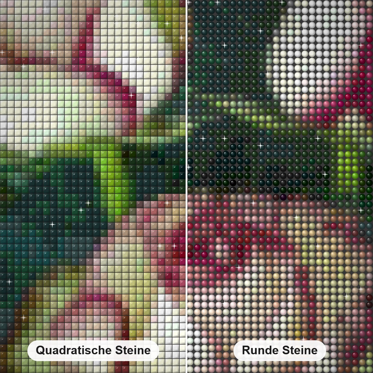 Weiße Rosen mit roten Spitzen Diamond Painting Nahaufnahme mit quadratischen und runden Steinen