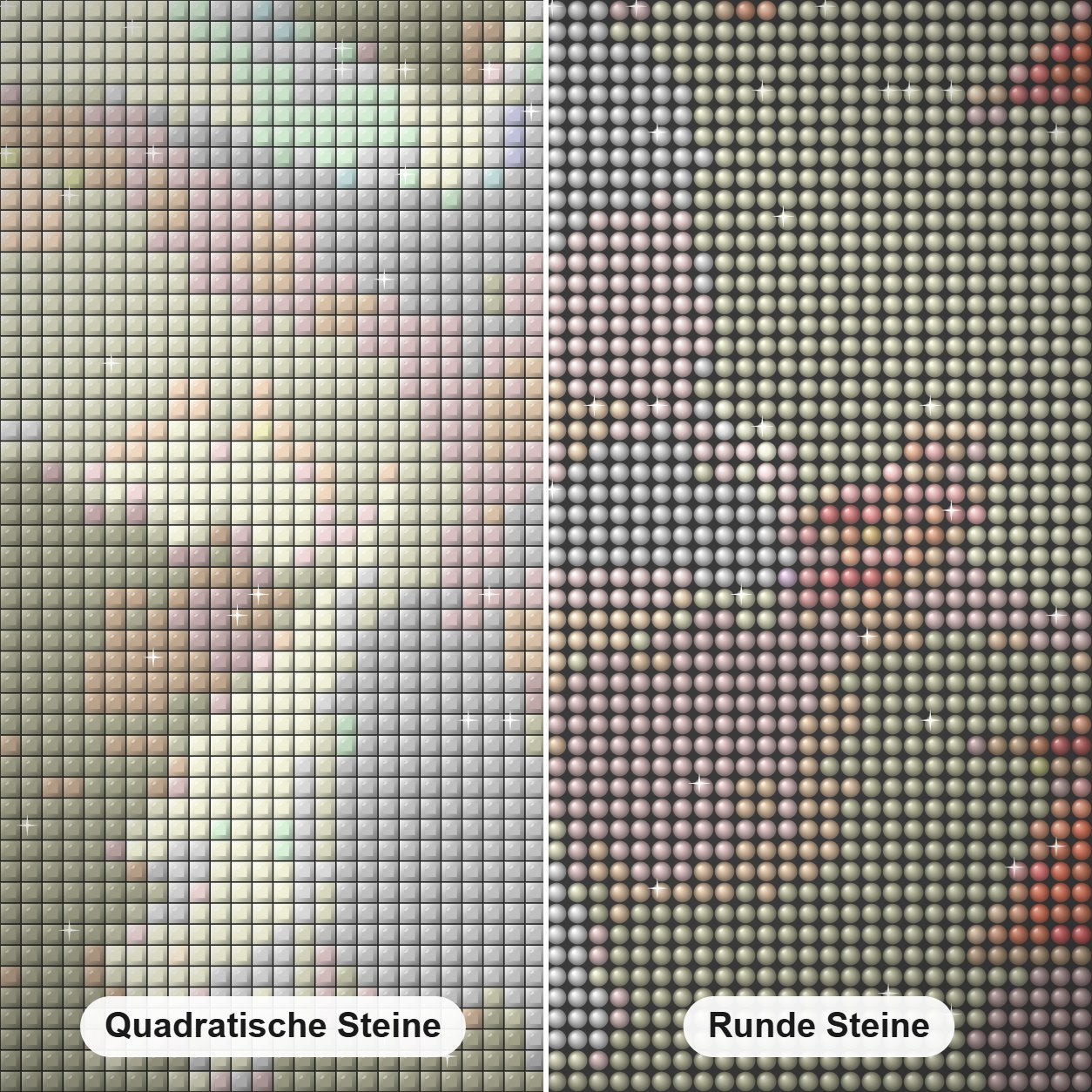 Weiße Taube & Herbstlaub Diamond Painting Nahaufnahme mit quadratischen und runden Steinen