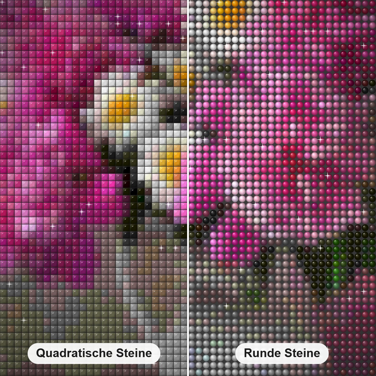 Wunderschöne rosa Pfingstrosen & Gänseblümchen Diamond Painting Nahaufnahme mit quadratischen und runden Steinen