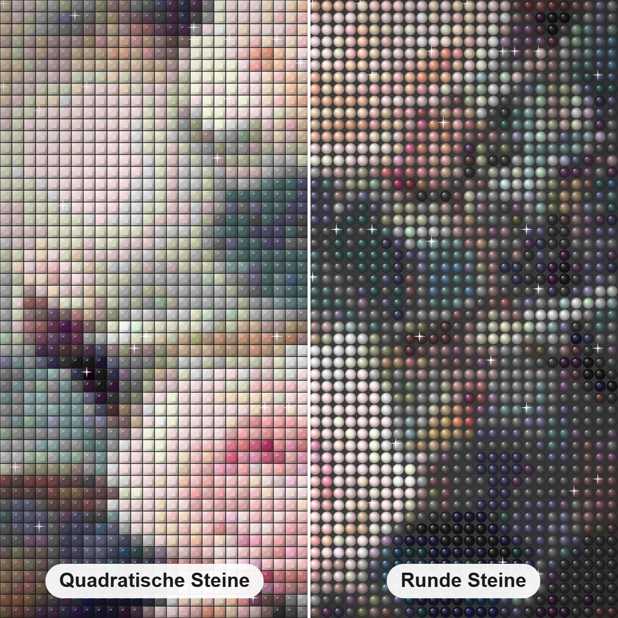 Wunderschöne rosa Rosenpflanze Diamond Painting Nahaufnahme mit quadratischen und runden Steinen