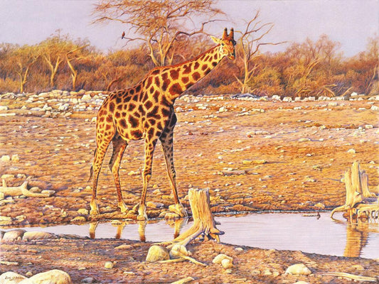 Nachmittagsglühen - Kunst des Eric Wilson - Diamond Painting