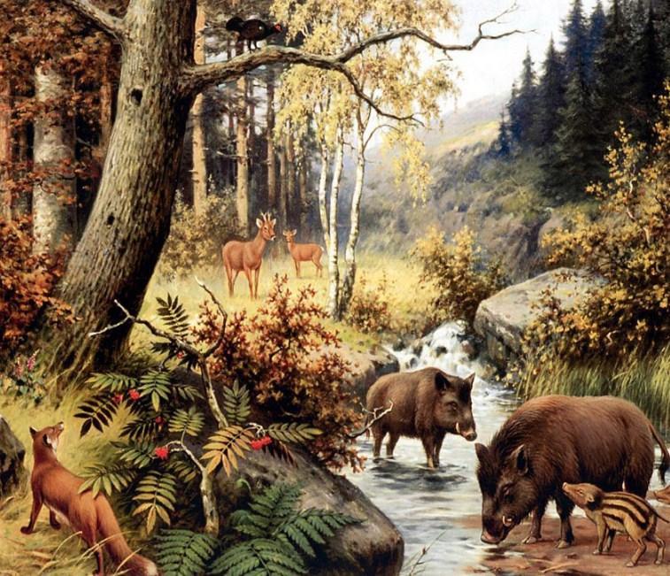 Tiere im Wald - malen mit Diamanten - Diamond Painting