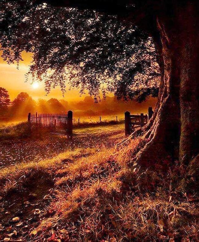 Herbst Abendlandschaft - Diamond Painting