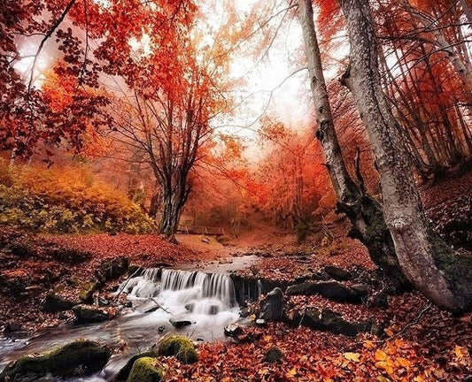 Herbst Wald Landschaftsmalerei - Diamond Painting