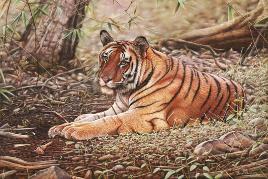 Bandhavgar Tiger - Kunst des Eric Wilson - Diamond Painting