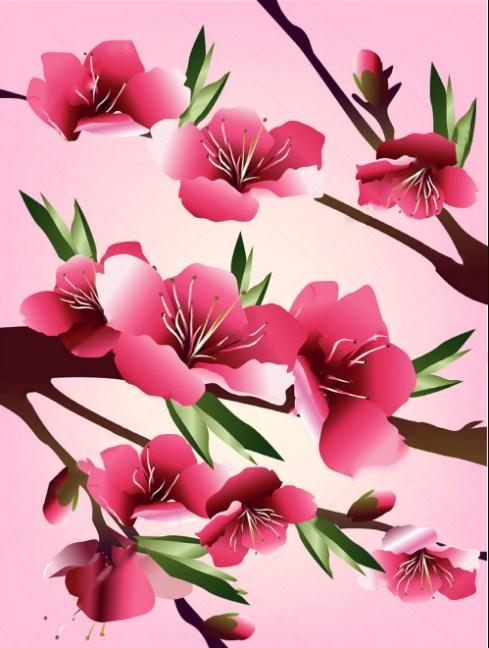 schöne Kirschblüten Diamond Painting - Diamond Painting