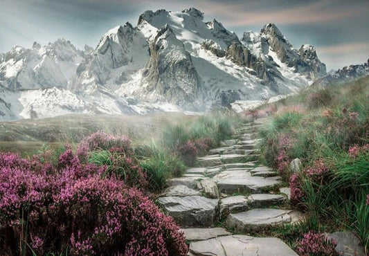 Schöner Weg zu den Bergen - Diamond Painting