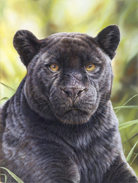 Schwarzer Panther - Kunst des Eric Wilson - Diamond Painting