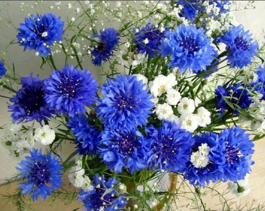 Blaue Blumen 5D Diamond Painting - Diamond Painting