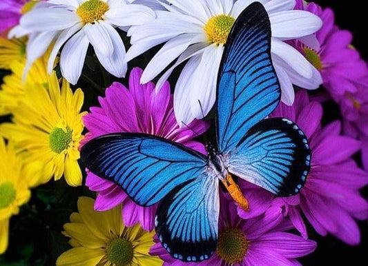 Schmetterling voller Bohrer Malerei Kit - Diamond Painting