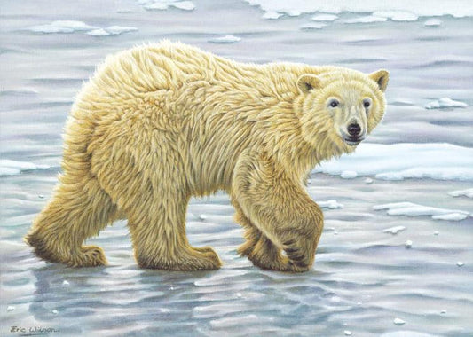 Neugieriges Eisbärjunges - Kunst des Eric Wilson - Diamond Painting