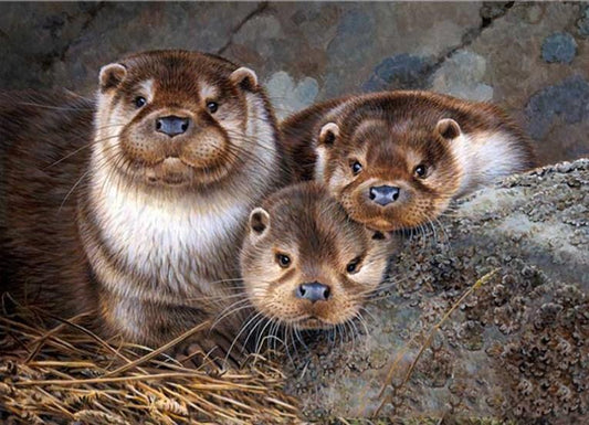 Süße Otterbabys - Diamond Painting Kit - Diamond Painting