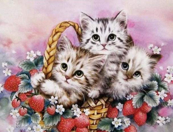 Kätzchen Korb - Diamond Painting