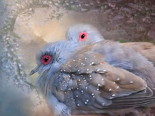 Schönes Taube paar Diamond Painting - Diamond Painting