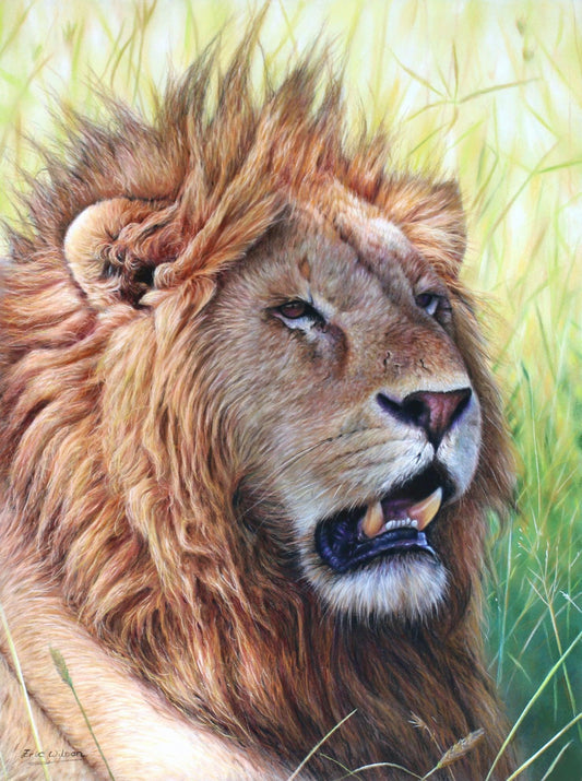 Masai Mara Löwe - Kunst des Eric Wilson - Diamond Painting