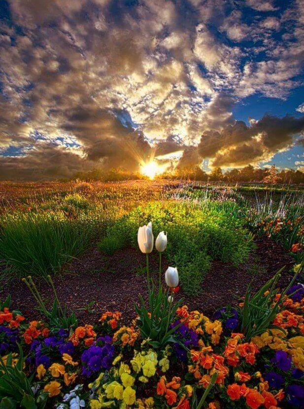 Natur im Himmel - Diamond Painting