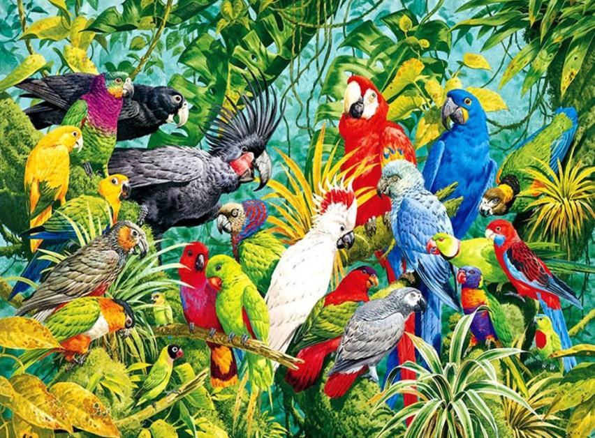 Papageien Königreich - Diamond Painting Kit - Diamond Painting