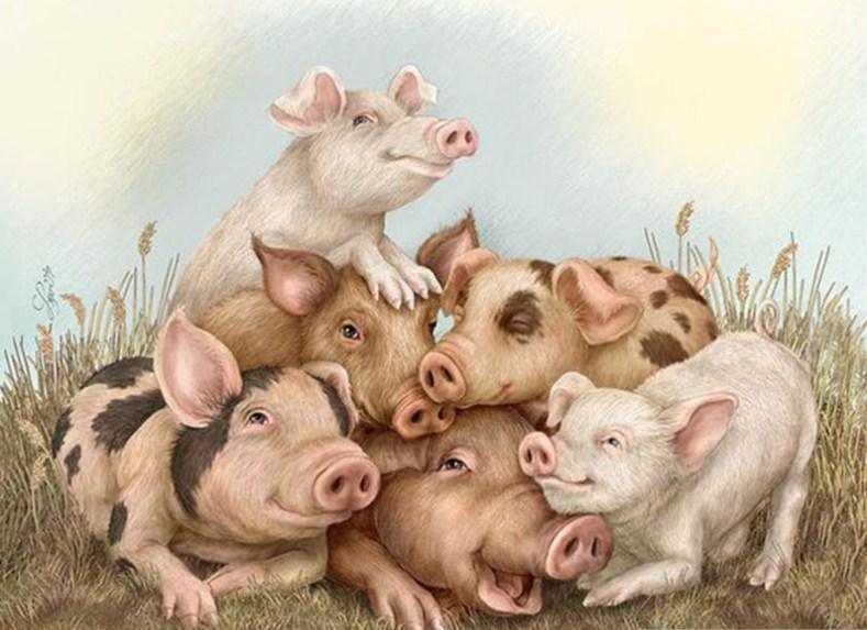 Schweinefamilie - Diamond Painting Kit - Diamond Painting
