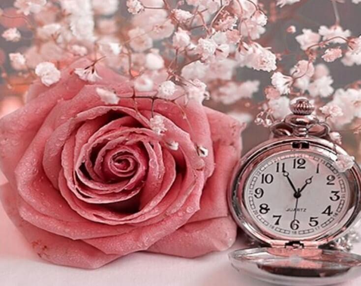 Rosa Rose & Uhr - Diamond Painting