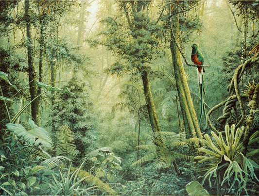 Quetzal - Kunst des Eric Wilson - Diamond Painting