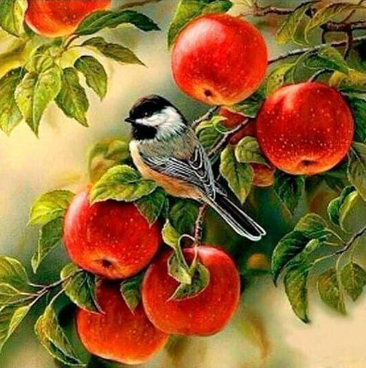 Spatz sitzt auf Apfelbaum - Diamond Painting